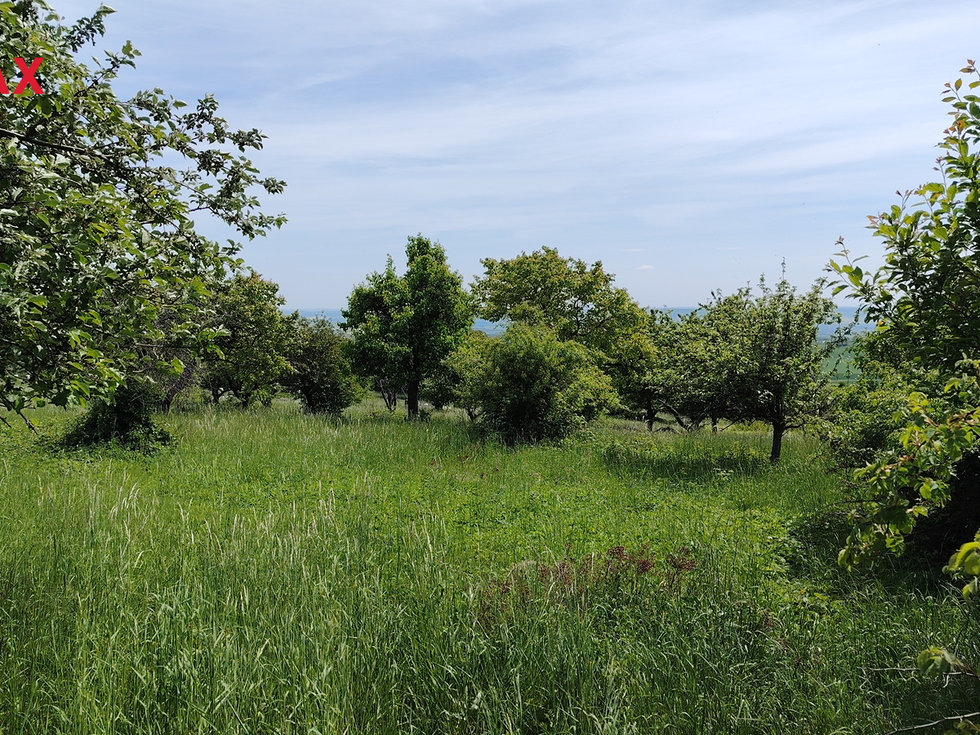 Prodej ostatních pozemků 6605 m², Podsedice