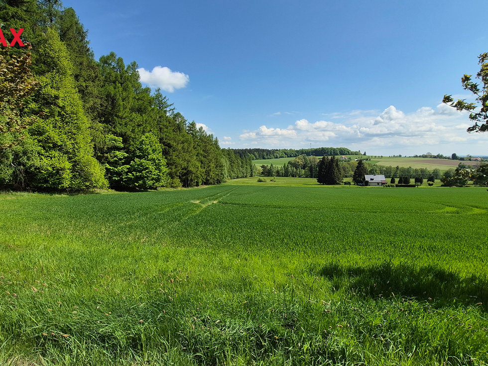 Prodej stavební parcely 7429 m², Borová