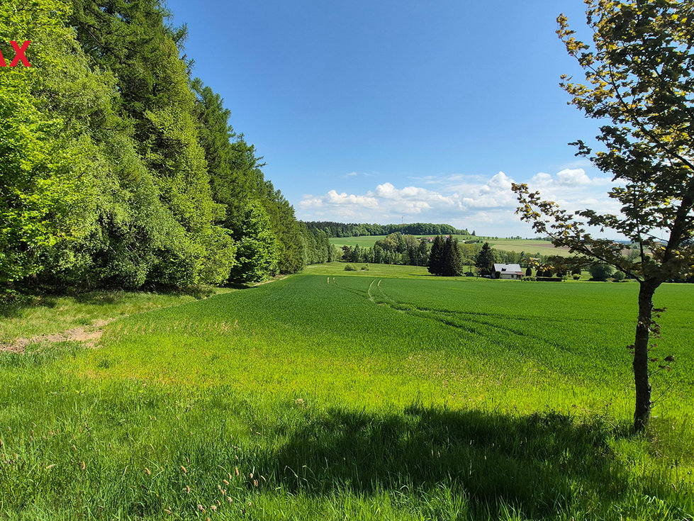Prodej stavební parcely 5776 m², Borová