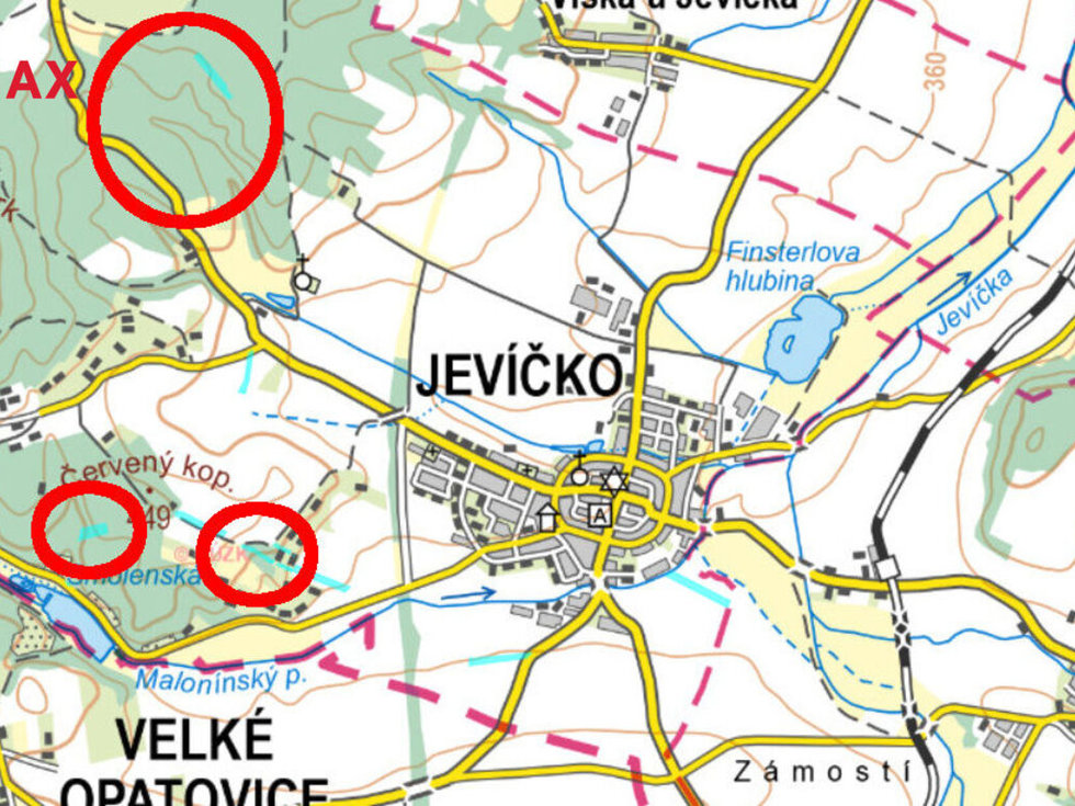 Prodej lesa 24771 m², Jevíčko