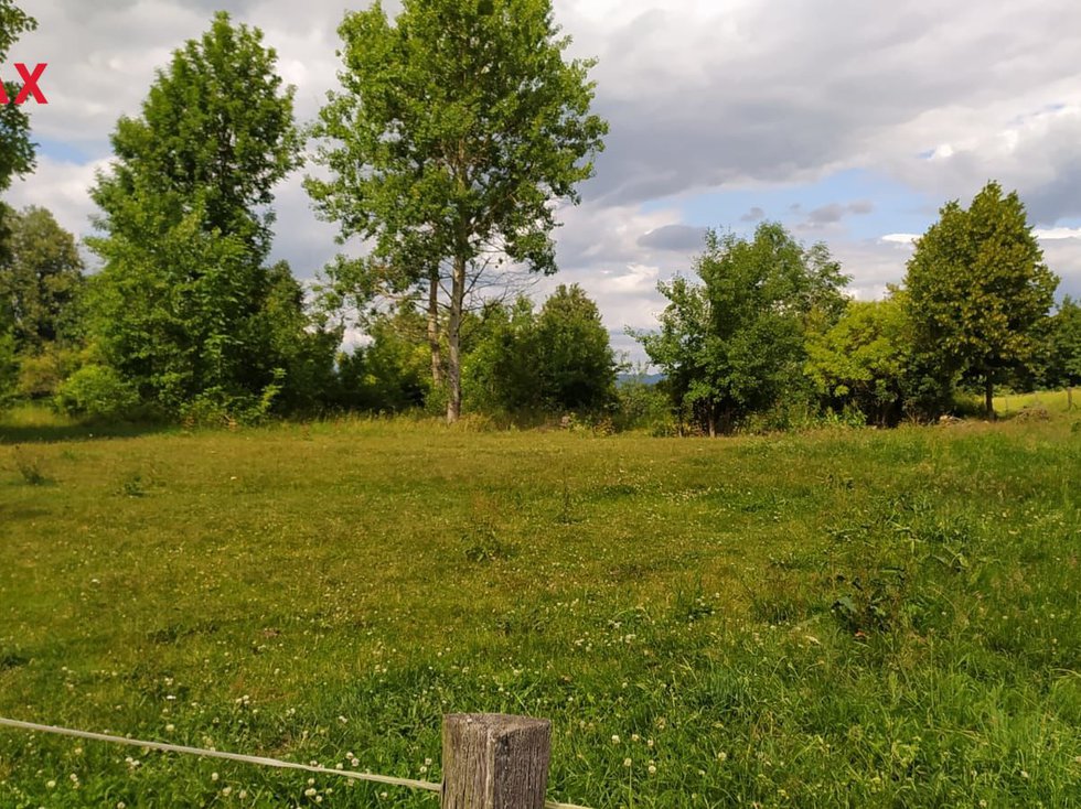 Prodej stavební parcely 7880 m², Mladějov na Moravě