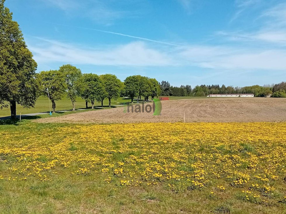 Prodej zemědělské půdy 207040 m², Popelín