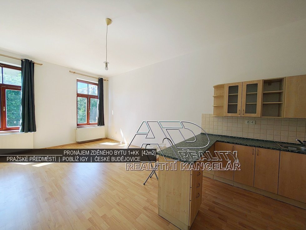 Pronájem bytu 1+kk, garsoniery 42 m², České Budějovice