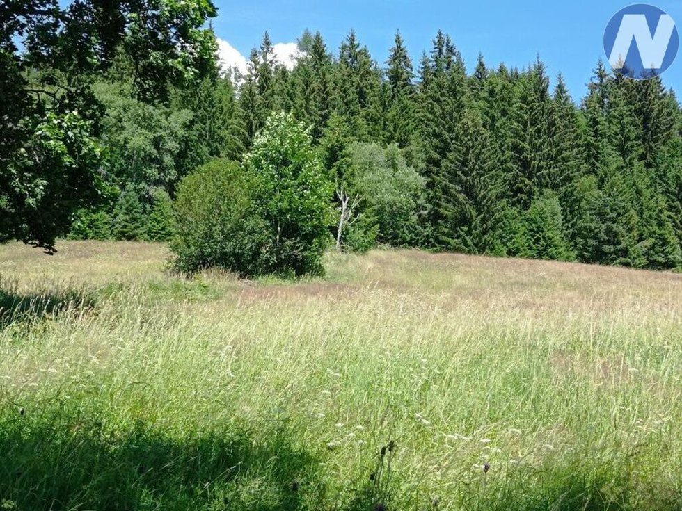 Prodej louky 22888 m², Borová Lada