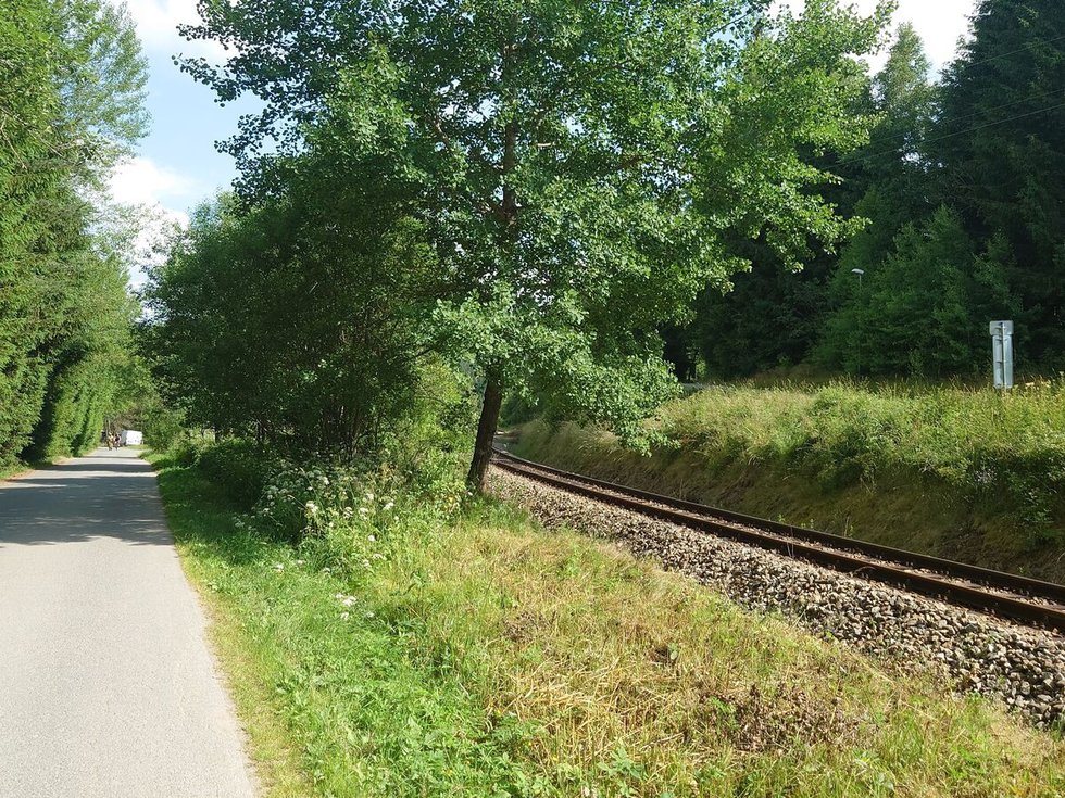 Prodej ostatních pozemků 945 m², Stožec