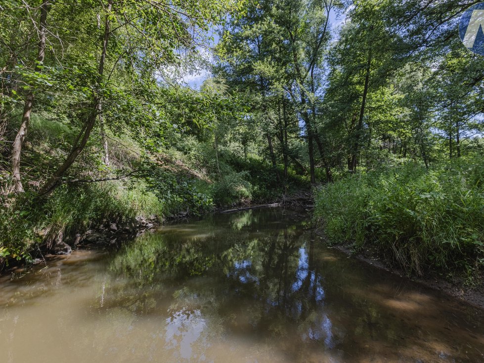 Prodej vodní plochy 1939 m², Planá