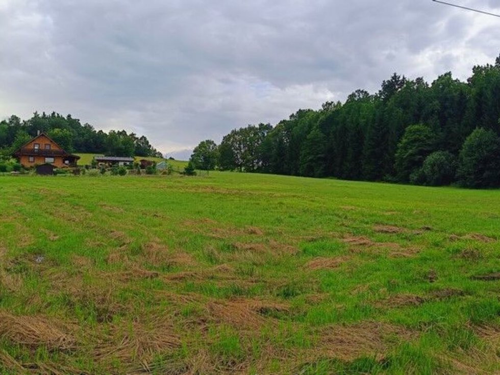 Prodej stavební parcely 4398 m², Hracholusky