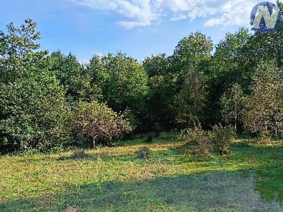 Prodej ostatních pozemků 15279 m², Mičovice