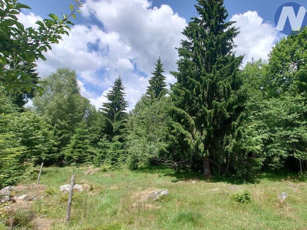 Prodej ostatních pozemků 607 m², Stožec