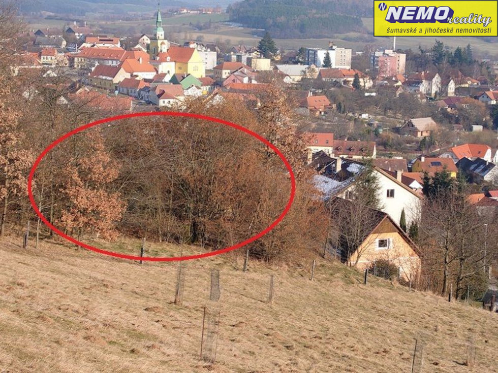 Prodej ostatních pozemků 1999 m², Vlachovo Březí