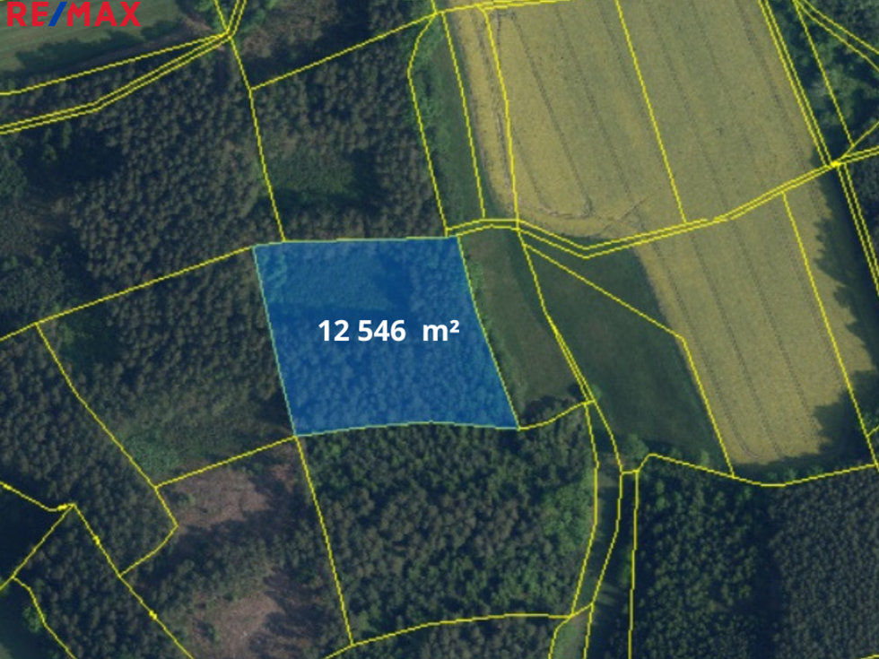 Prodej lesa 30155 m², Bílá