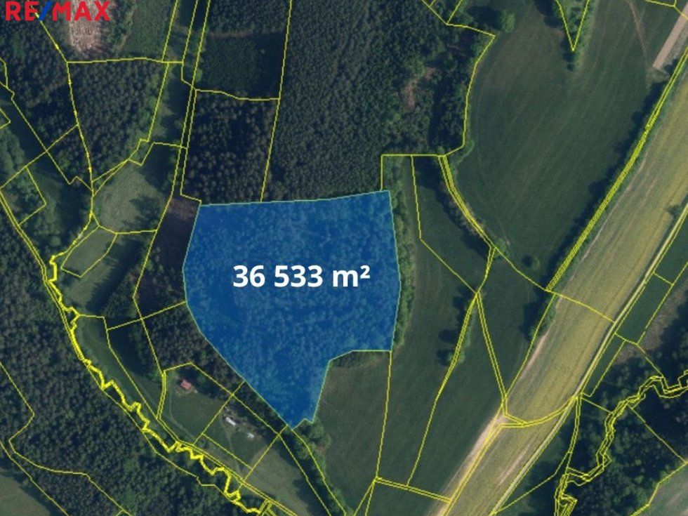Prodej lesa 66688 m², Bílá