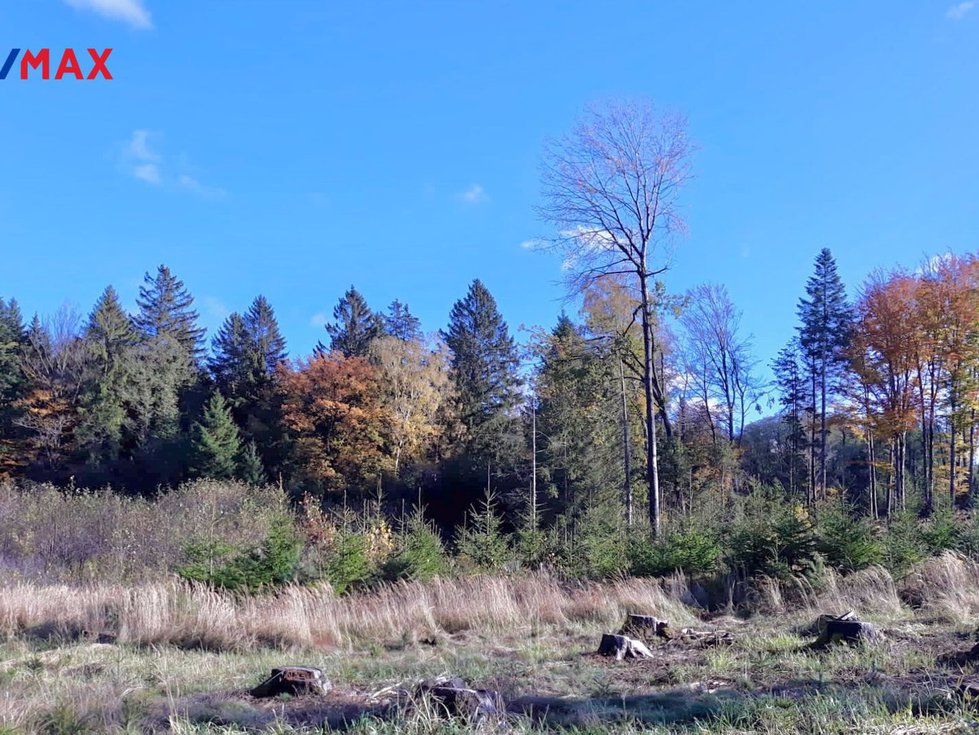 Prodej vodní plochy 15715 m², Kunžak