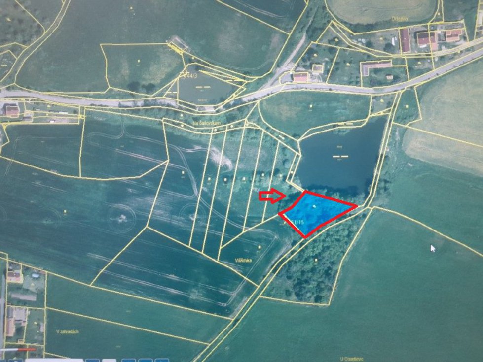 Prodej zemědělské půdy 2006 m², Čížová