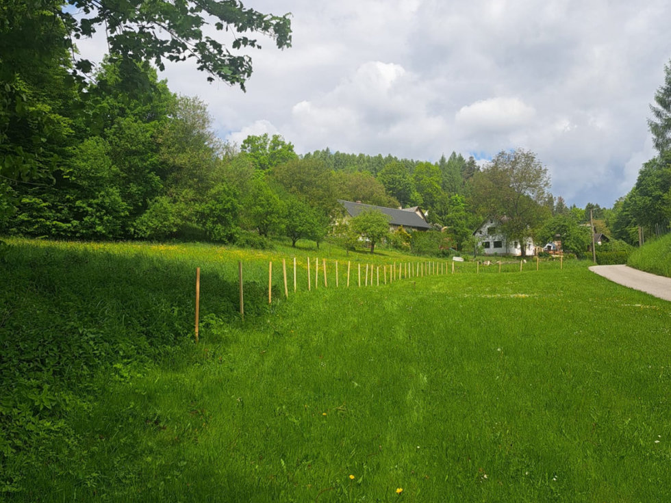 Prodej zemědělské půdy 810 m², Frýdštejn