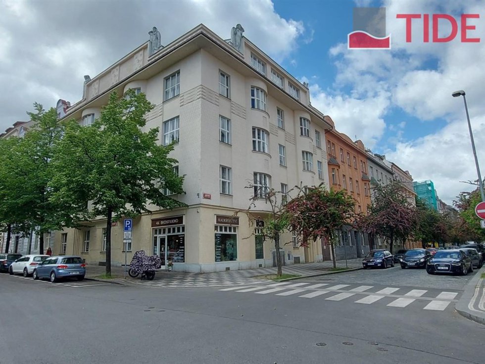 Pronájem bytu 5+1 a více 250 m², Praha