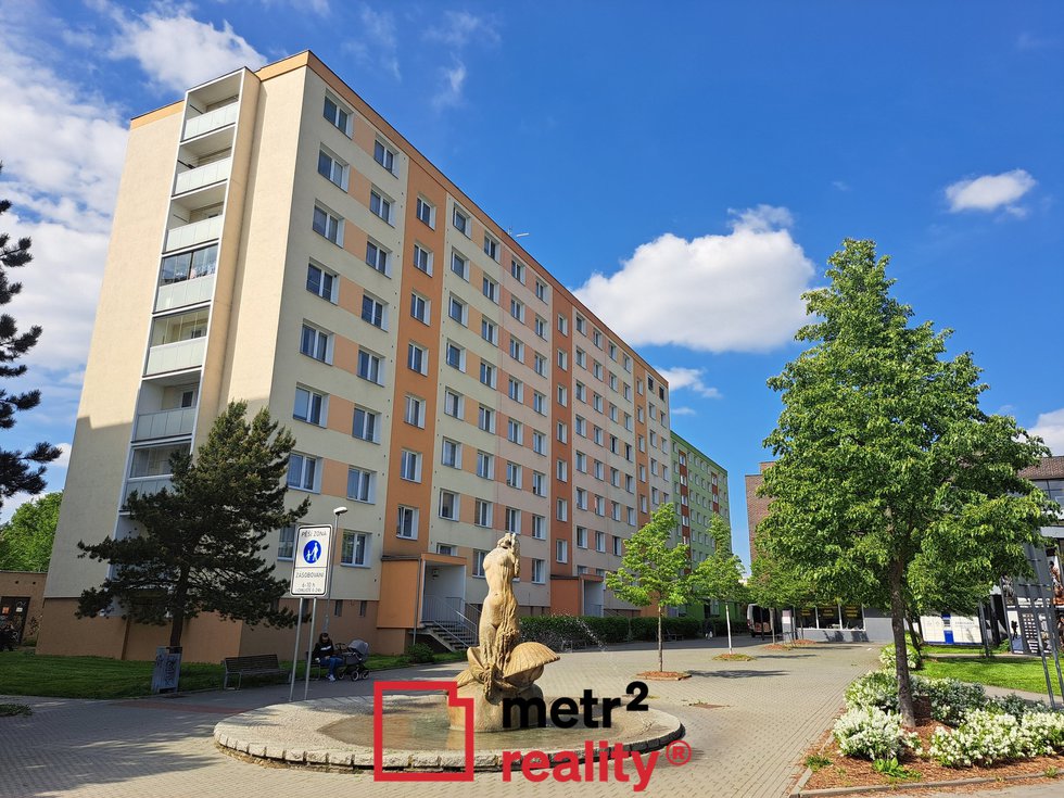 1 B 3+1 Nedvědova