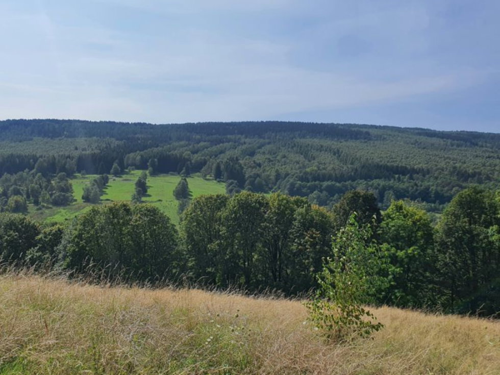 Pozemek - Hora sv.Kateřiny