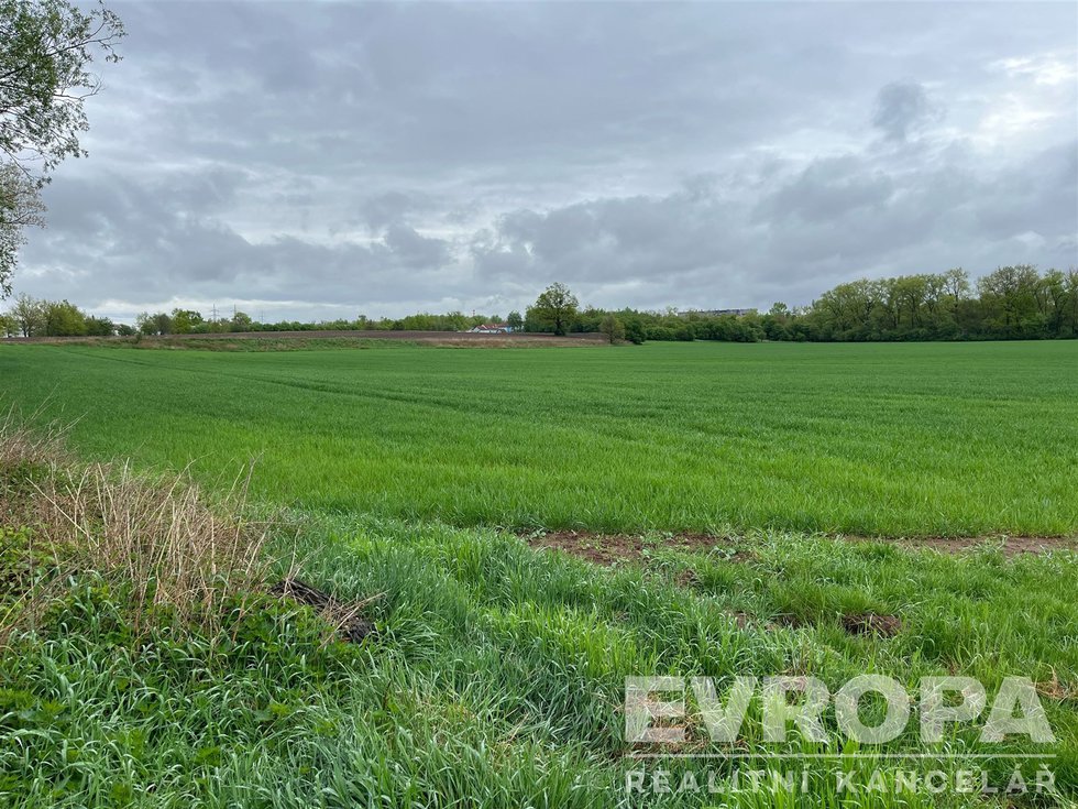 Prodej zemědělské půdy 66333 m², Rybitví