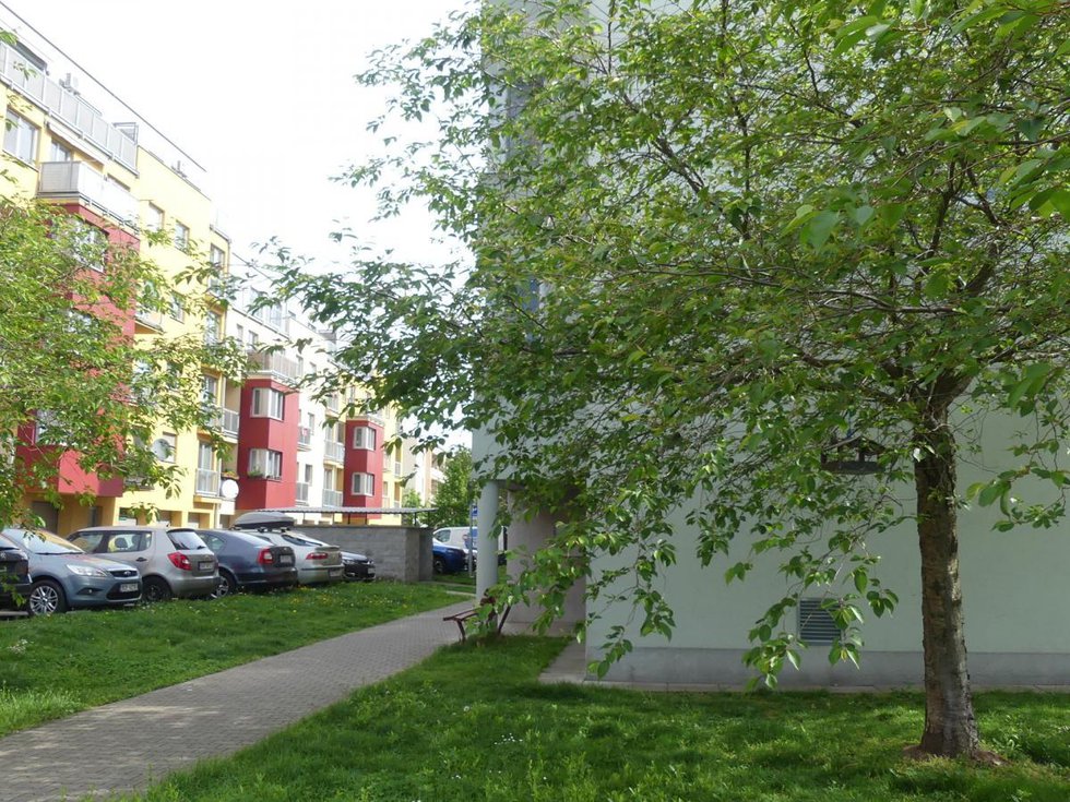 Prodej bytu 1+kk, garsoniery 32 m², Pardubice