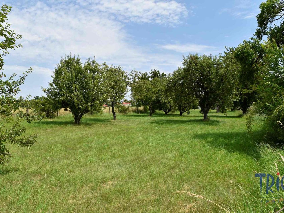 Prodej stavební parcely 5122 m², Rychnovek