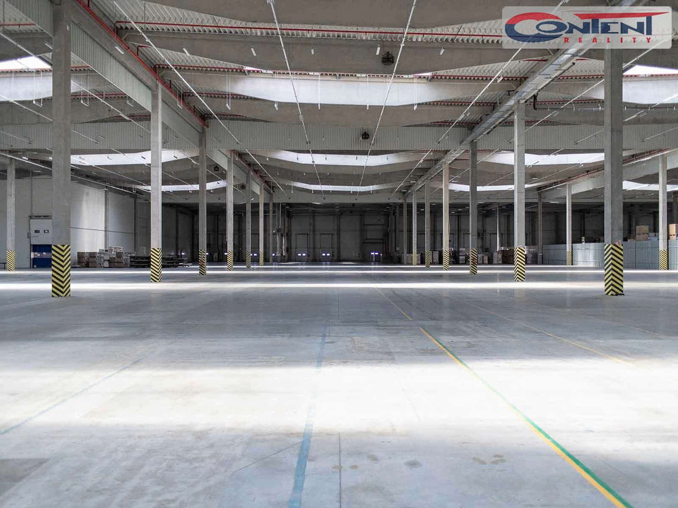 Pronájem výrobního objektu 6928 m², Bor