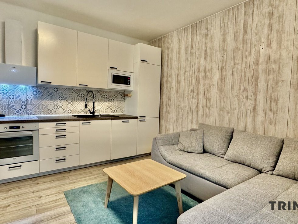 Pronájem bytu 3+kk 59 m², Bílovec