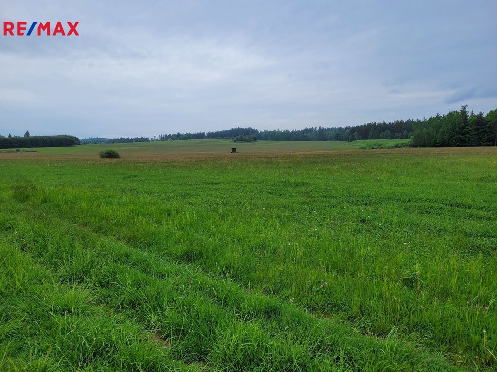 Prodej zemědělské půdy 11830 m², Malá Hraštice