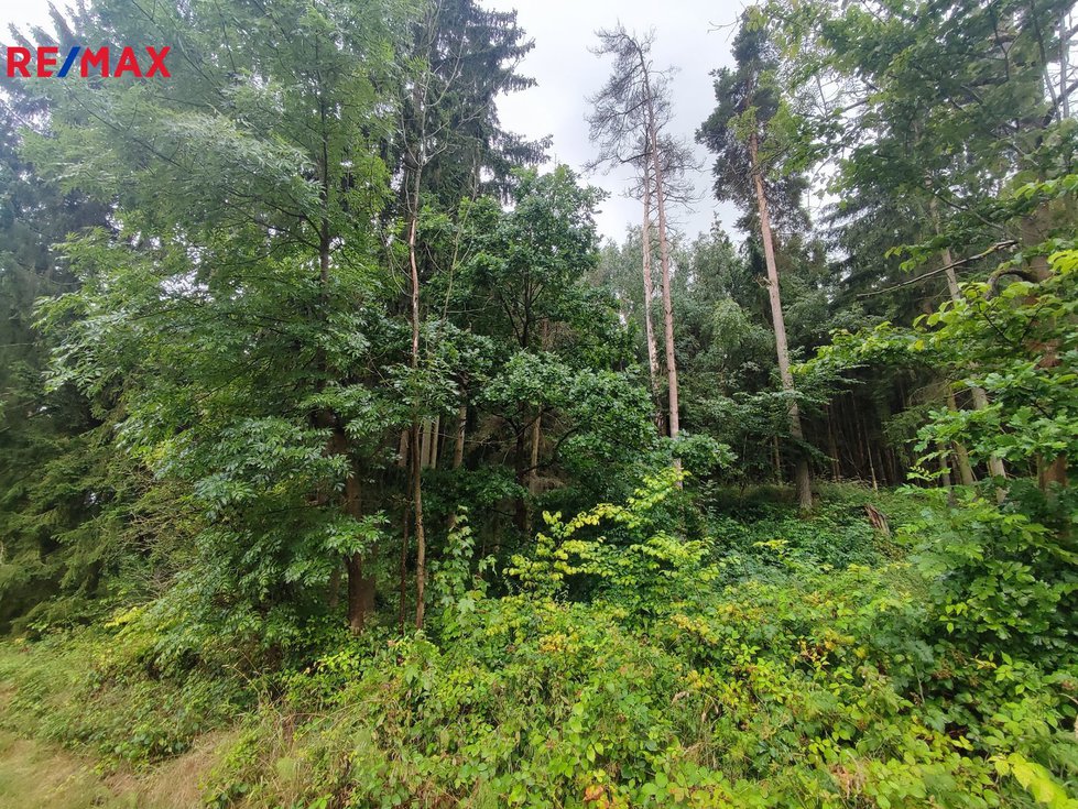 Prodej lesa 9227 m², Radošovice
