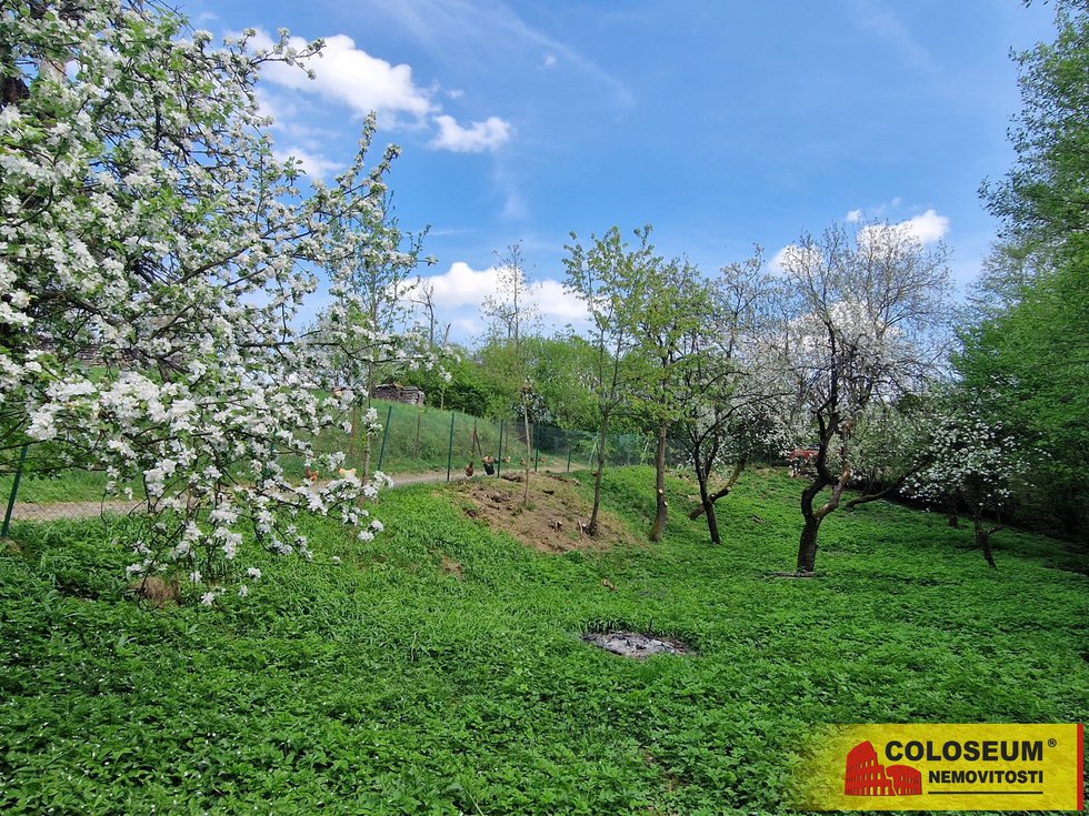 Pohled na pozemek – Ludkovice, prodej pozemku – st