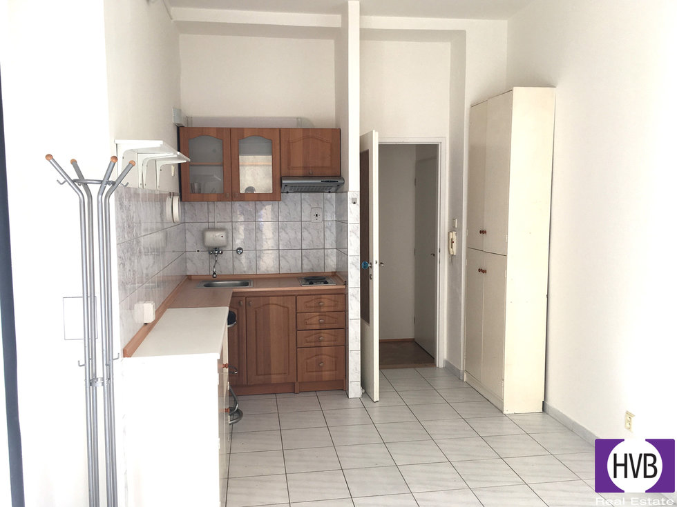 Pronájem bytu 1+1 44 m², Praha