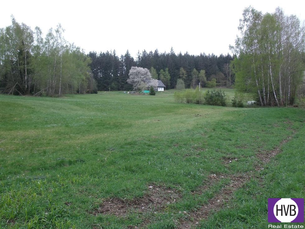 Prodej zemědělské půdy 4039 m², Přední Výtoň