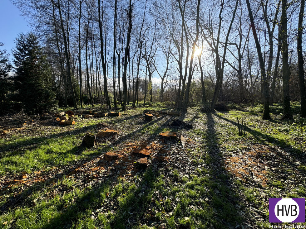 Prodej stavební parcely 2000 m², Říčany