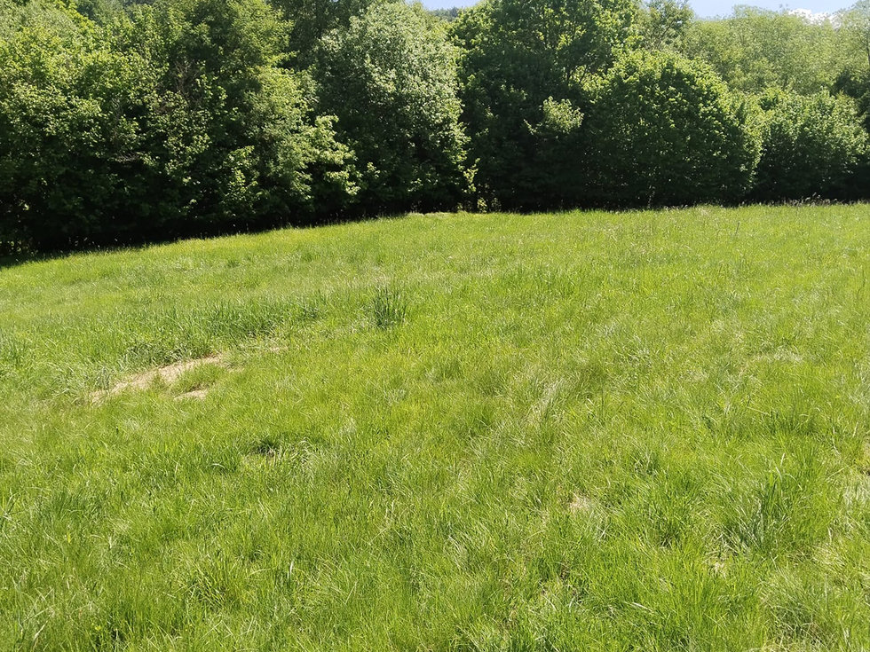 Prodej stavební parcely 1876 m², Dlouhá Ves