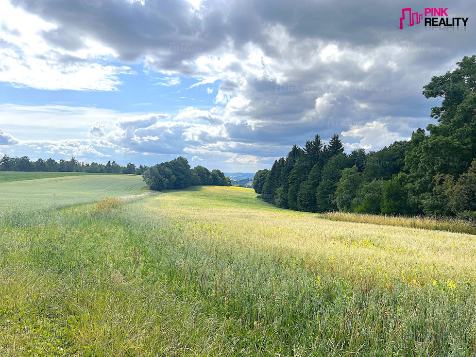 Prodej zemědělské půdy 26825 m², Benecko