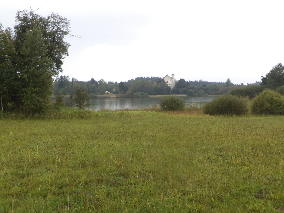 Prodej ostatních pozemků 2593 m², Nová Bystřice