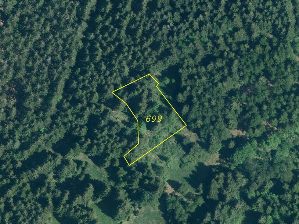 Prodej ostatních pozemků 3679 m², Železná Ruda