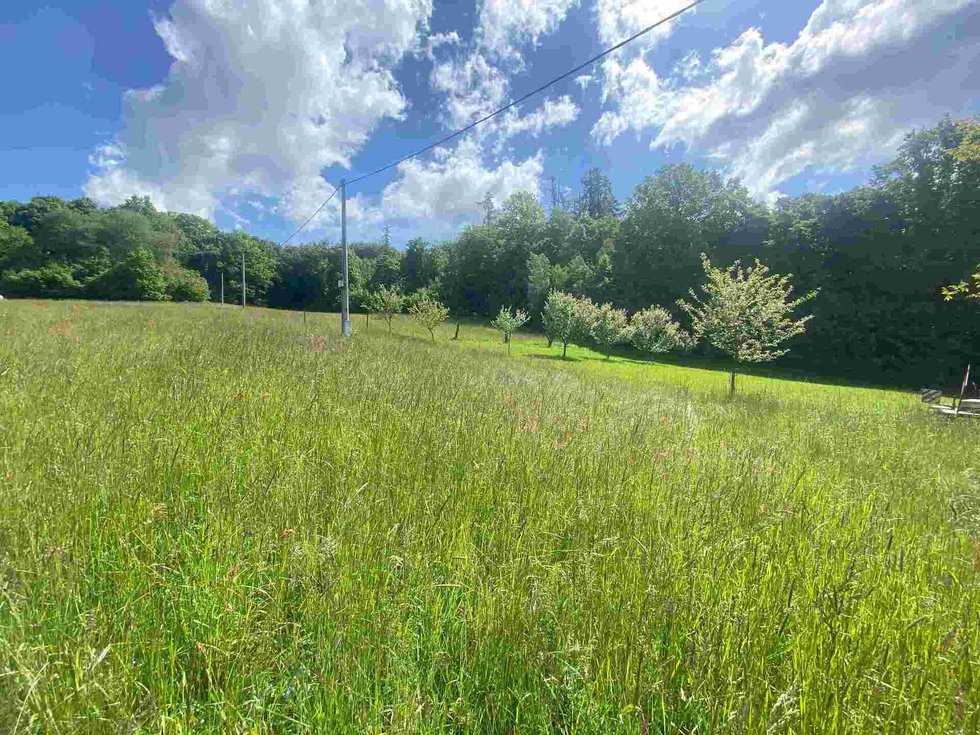 Prodej ostatních pozemků 574 m², Odry