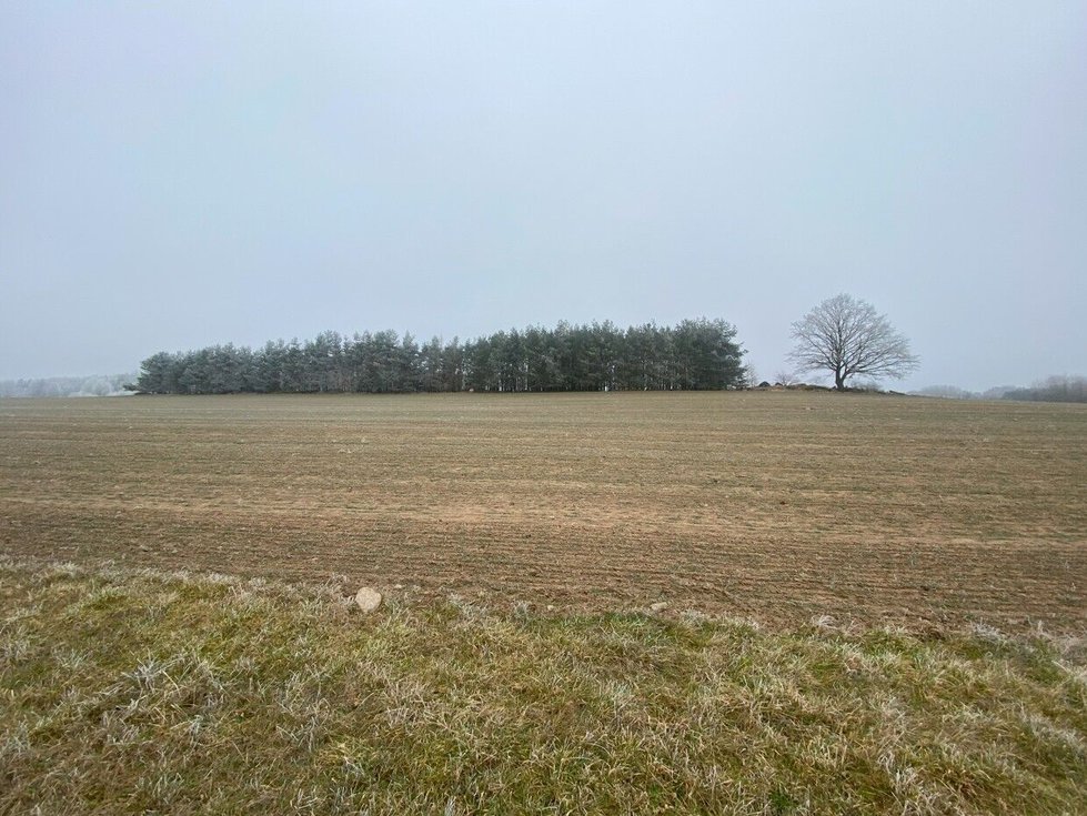 Prodej zemědělské půdy 10514 m², Slatina