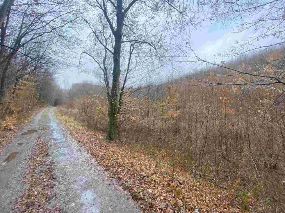 Prodej zemědělské půdy 3207 m², Ždánice