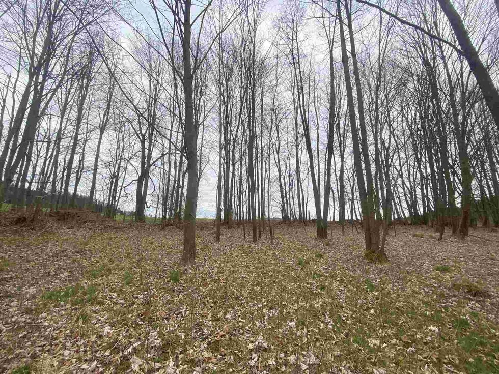 Prodej ostatních pozemků 4837 m², Žinkovy