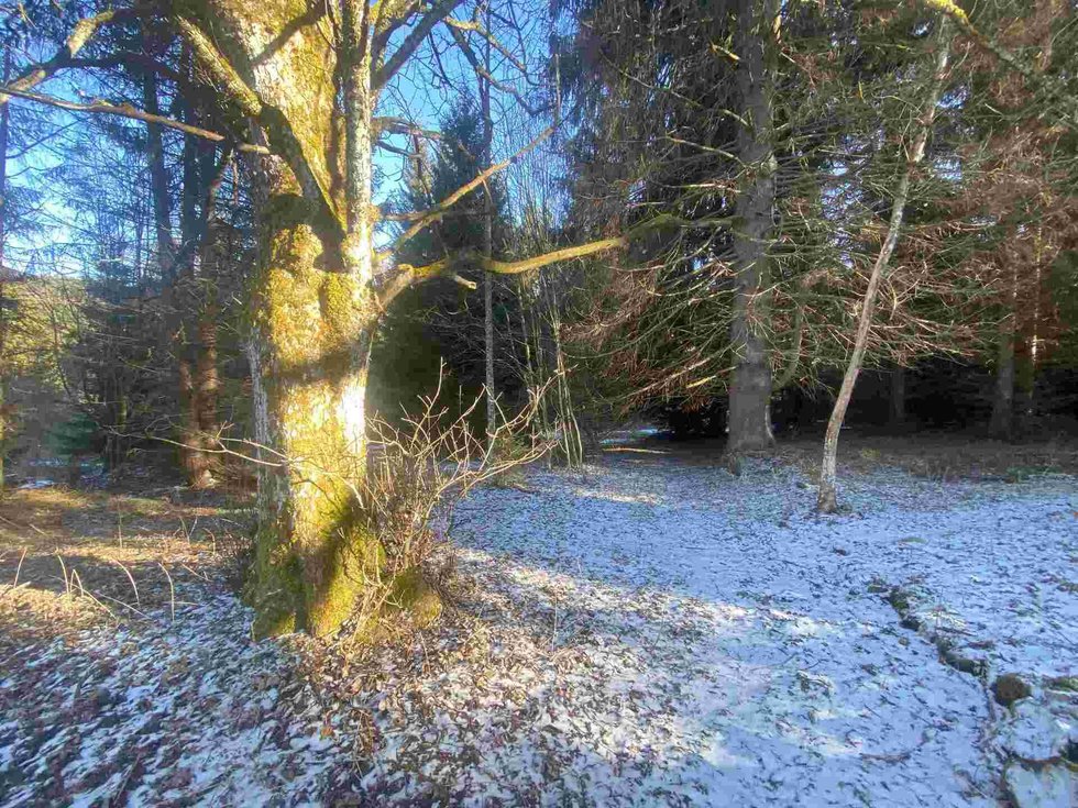 Prodej ostatních pozemků 12768 m², Čachrov