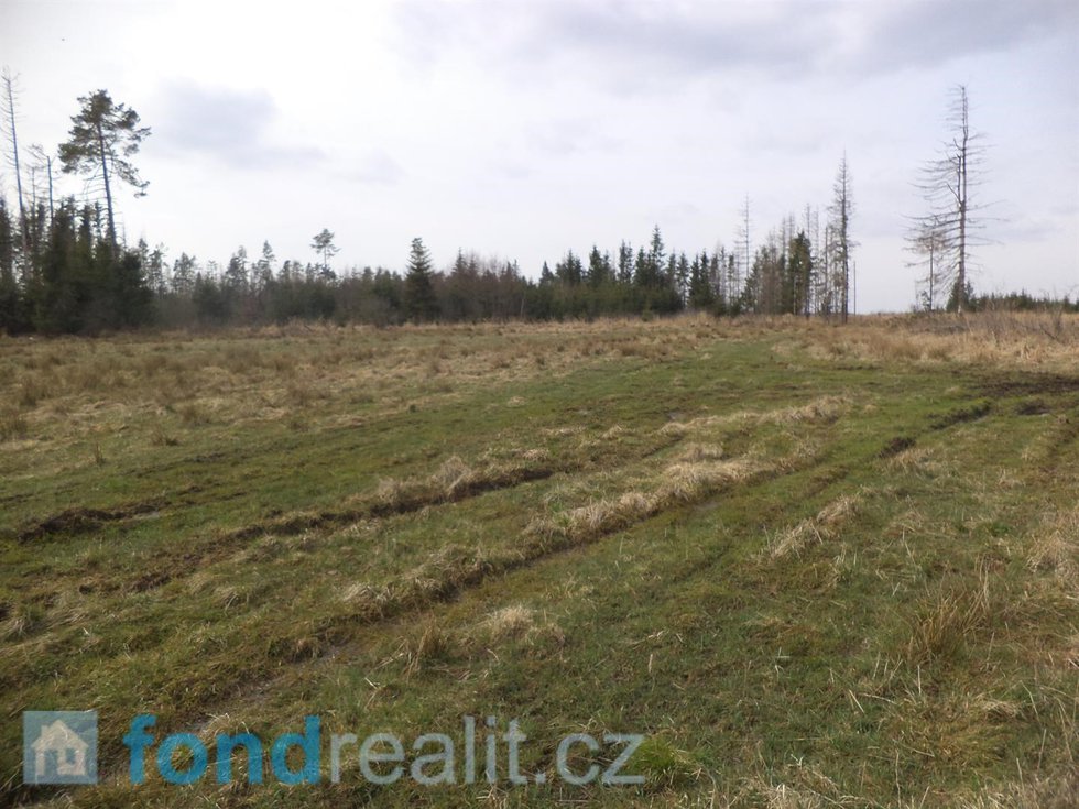 Prodej zemědělské půdy 25464 m², Opatov