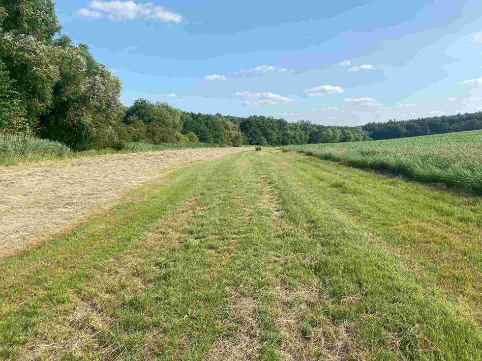 Prodej zemědělské půdy 250 m², Oldřichovice