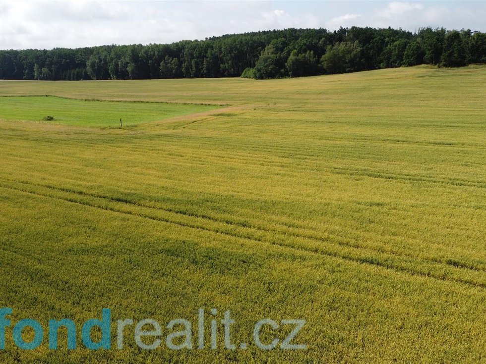 Prodej zemědělské půdy 12505 m², Radošovice