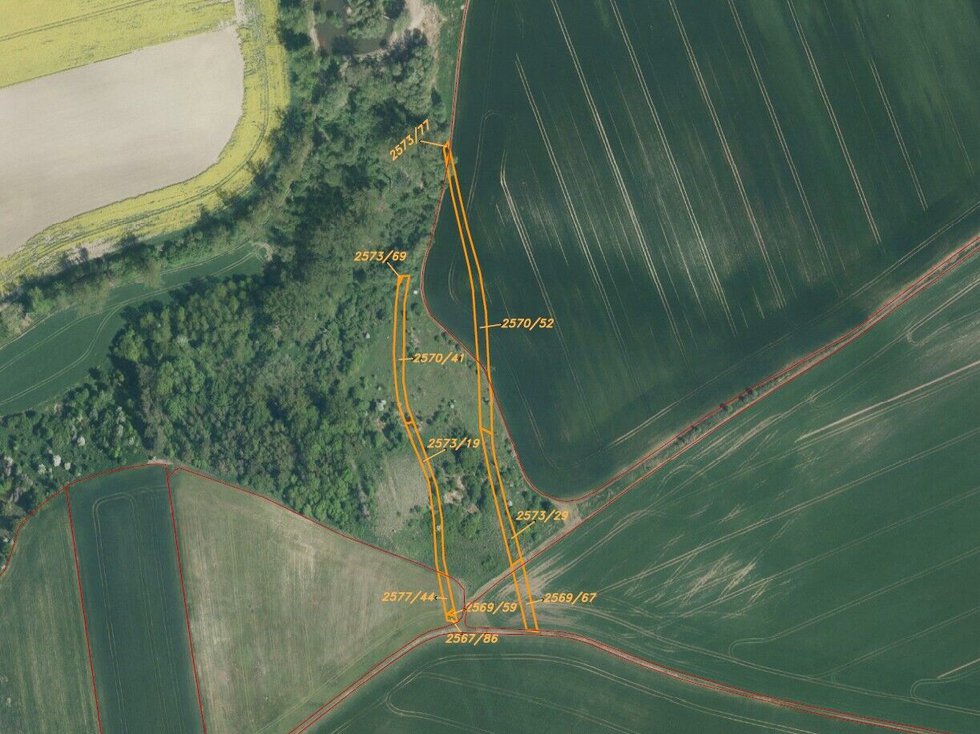 Prodej zemědělské půdy 3134 m², Bučovice