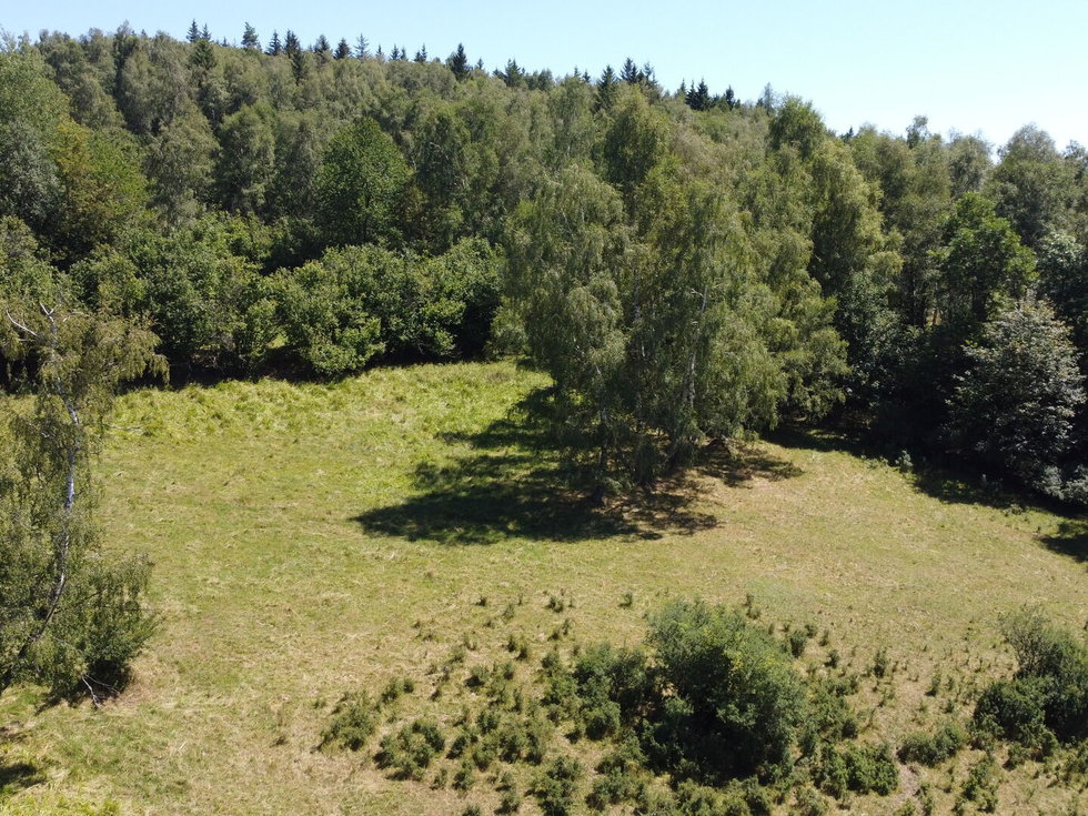 Prodej zemědělské půdy 43079 m², Strašín