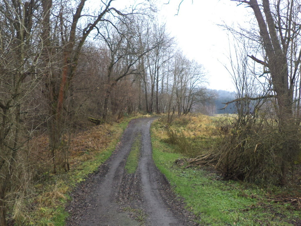 Prodej stavební parcely 4213 m², Nové Hrady
