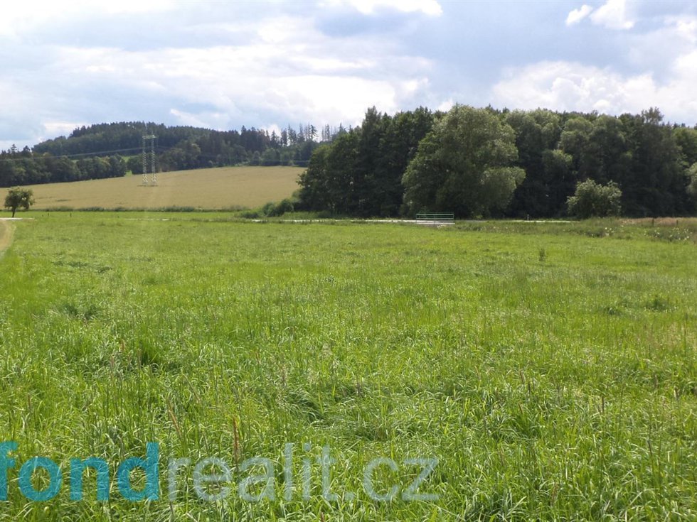 Prodej zemědělské půdy 6045 m², Vepříkov
