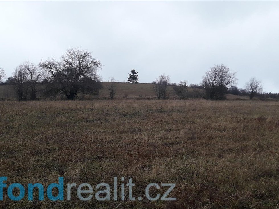 Prodej zemědělské půdy 29954 m², Teplice nad Metují